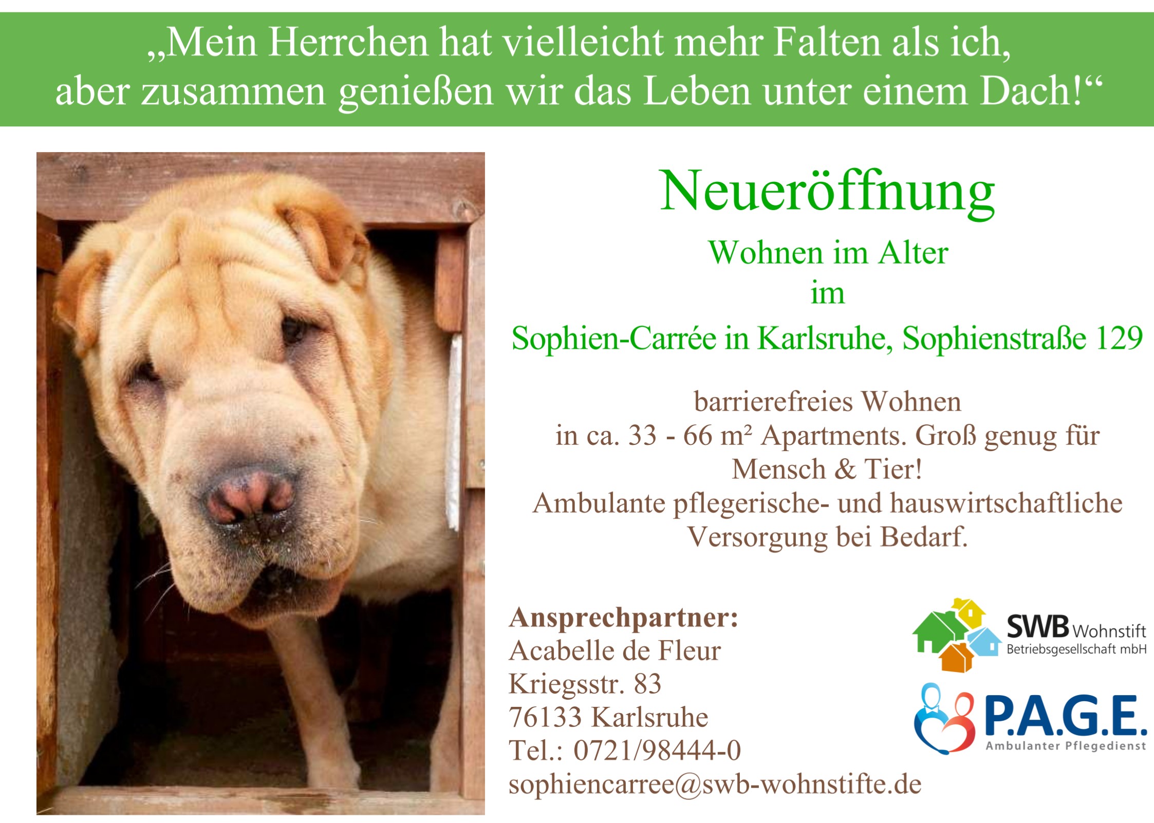 swb werbung